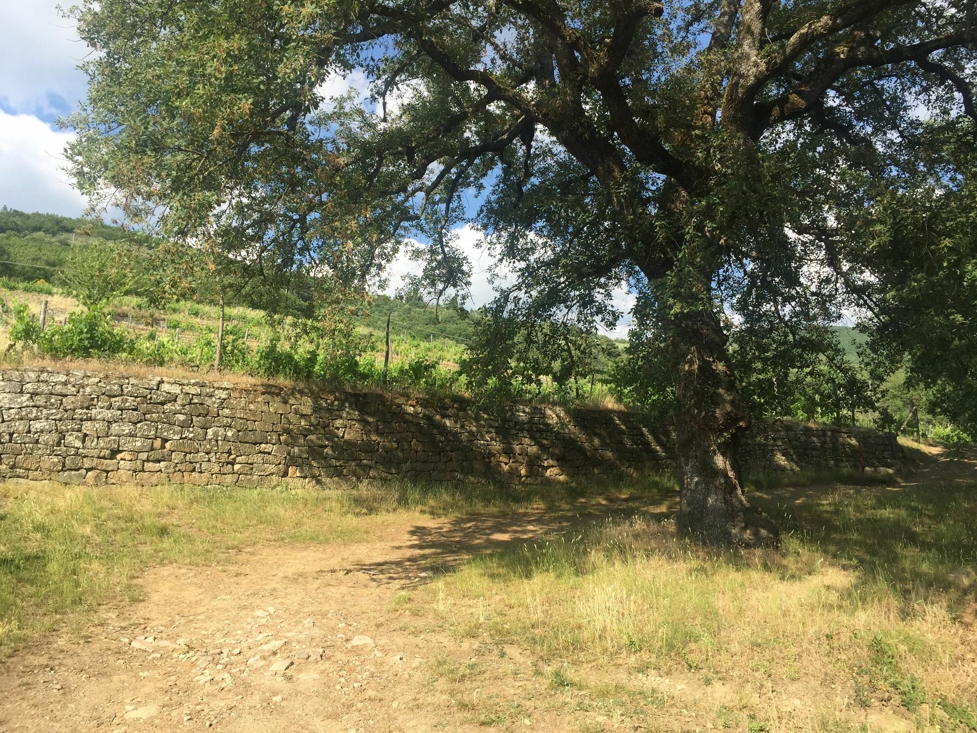Villa La Grotta San Giustino Valdarno Bagian luar foto
